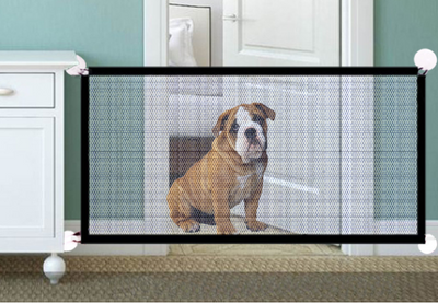 a dog is sitting behind a screen in a room