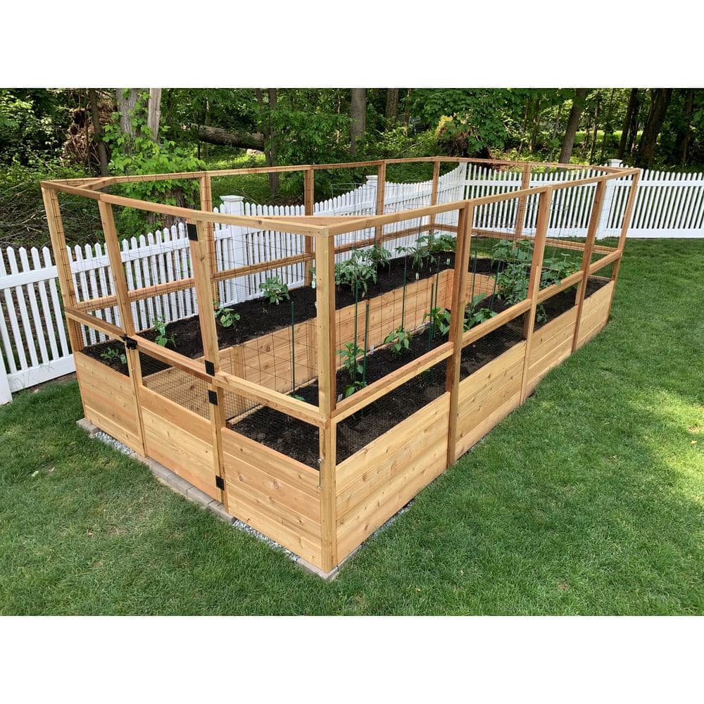 Natural cedar 8x16 ft raised garden bed enclosure with mesh deer fencing