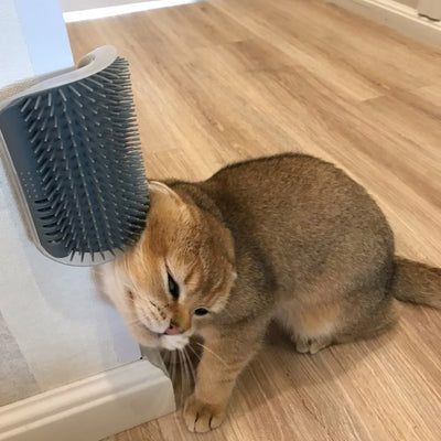 a cat sitting on the floor next to a hair brush